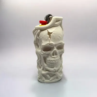 Image 5 : Photo du pack · cage briquet Bic Racines et Crâne